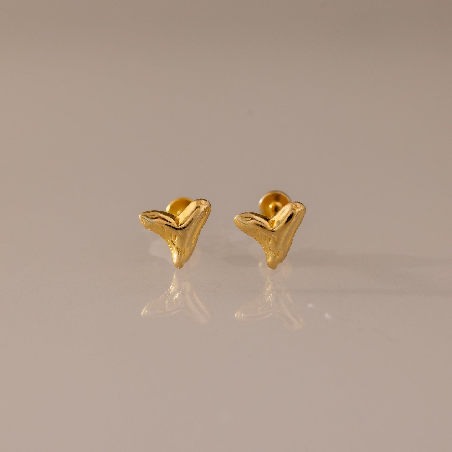 Shark Tooth Flatback Studs