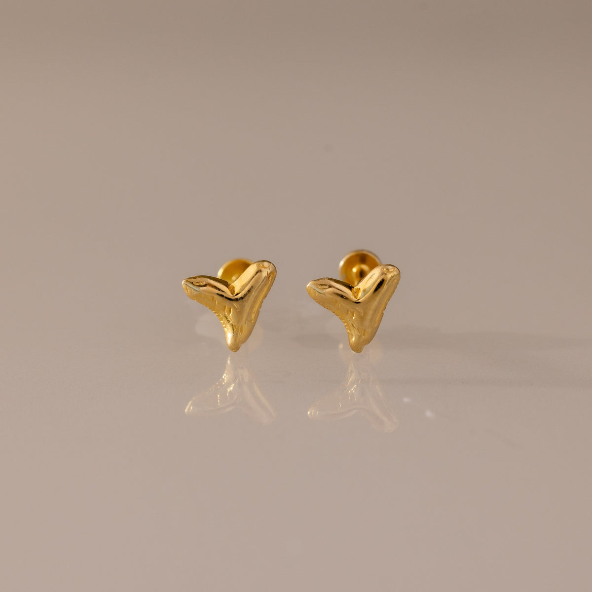 Shark Tooth Flatback Studs