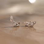 Diamond Starfall Flatback Climbers