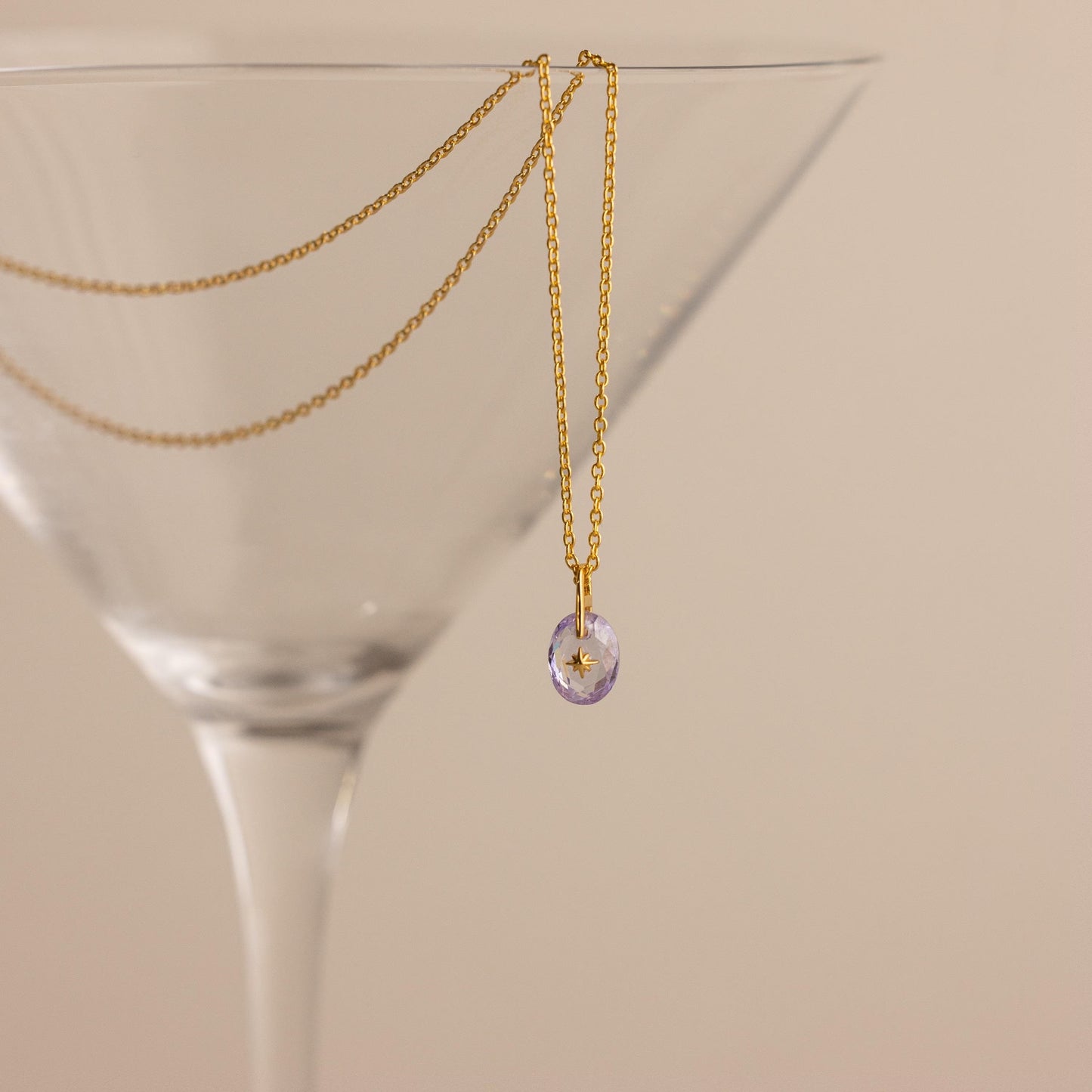 North Star Birthstone Signet Necklace