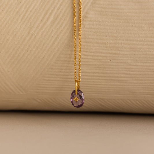 North Star Birthstone Signet Necklace