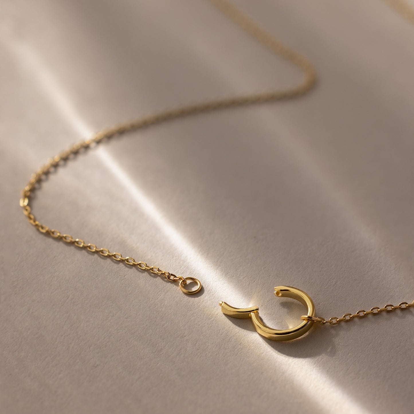 Large Rolo Clasp Necklace