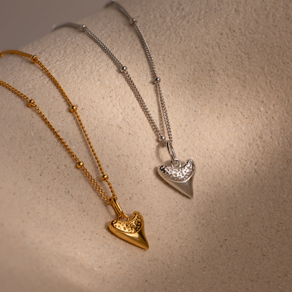 Shark Tooth Necklace