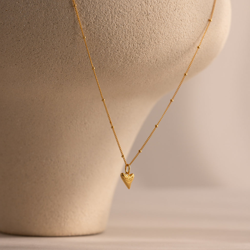 Shark Tooth Necklace