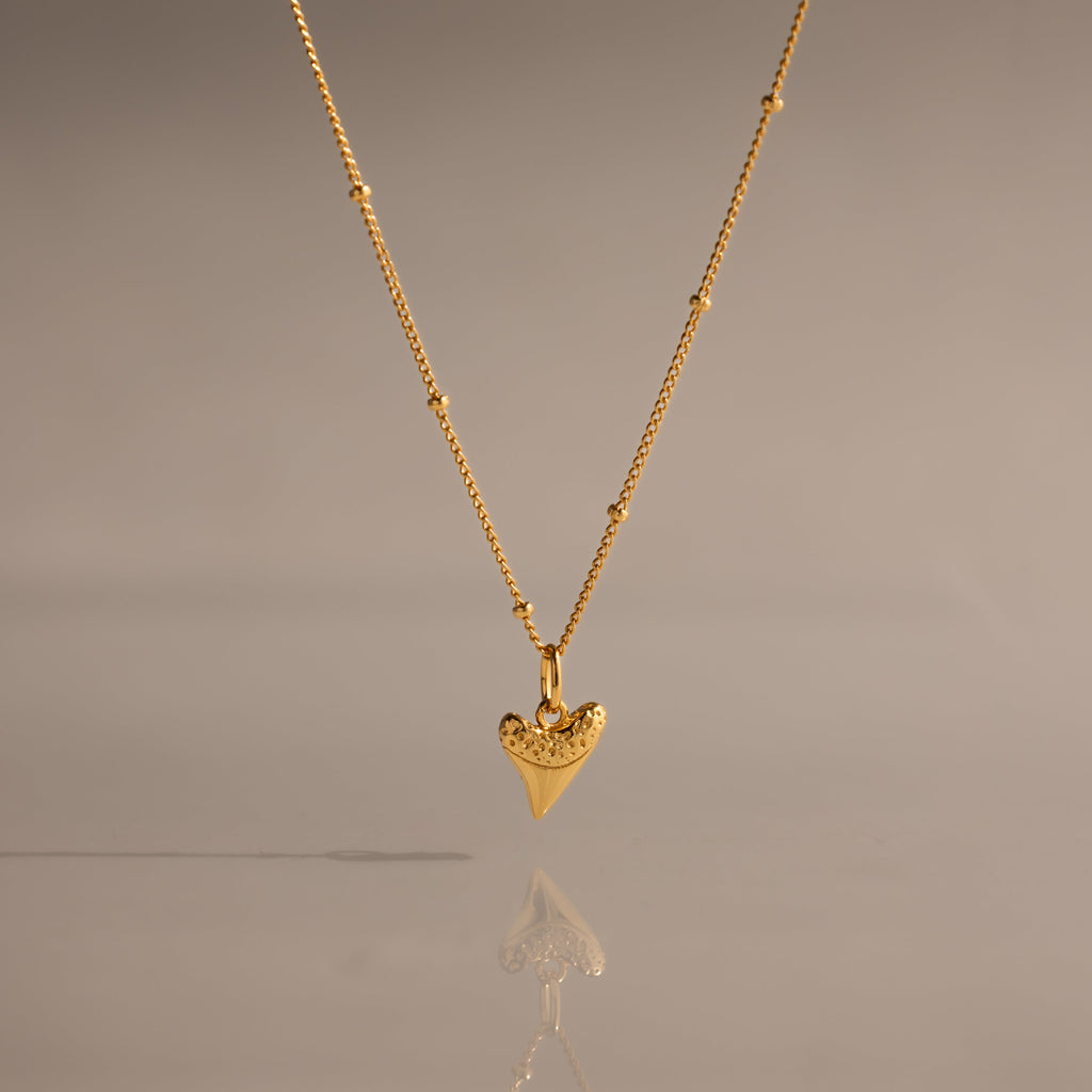 Shark Tooth Necklace