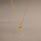 Shark Tooth Necklace