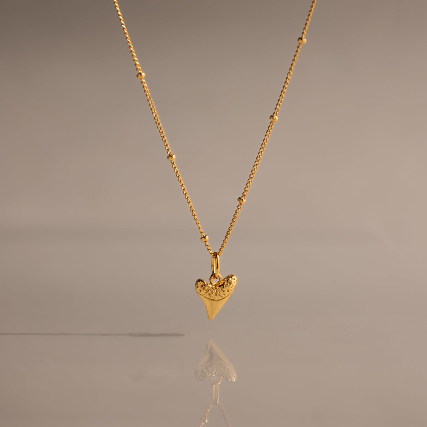 Shark Tooth Necklace