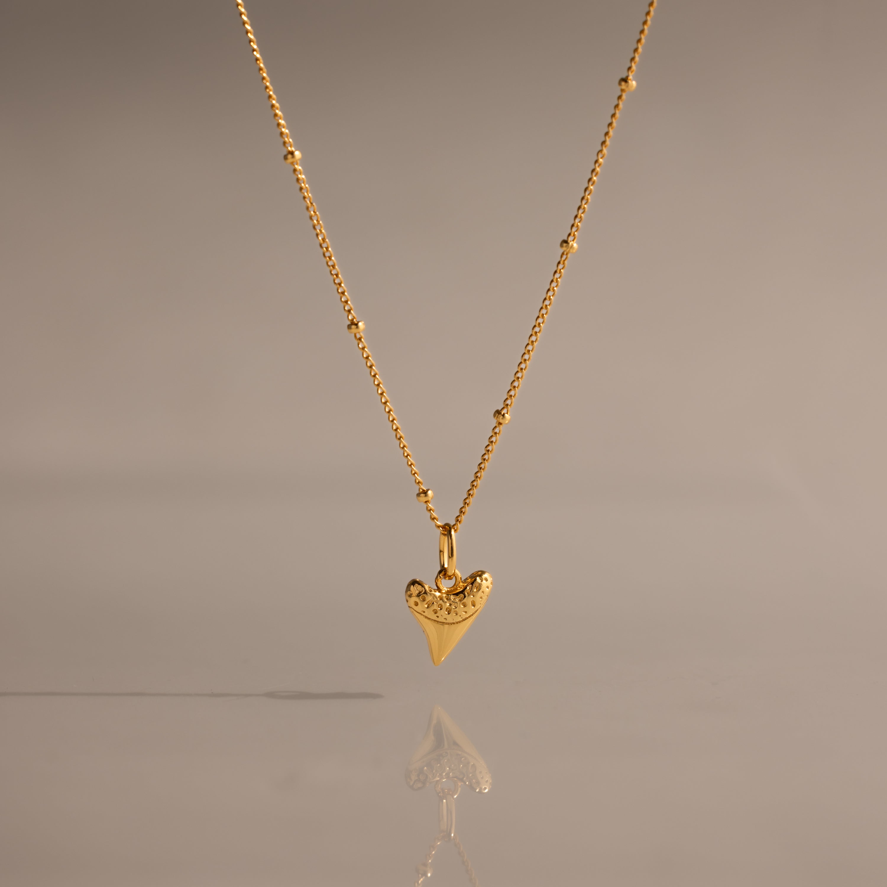 Shark Tooth Necklace