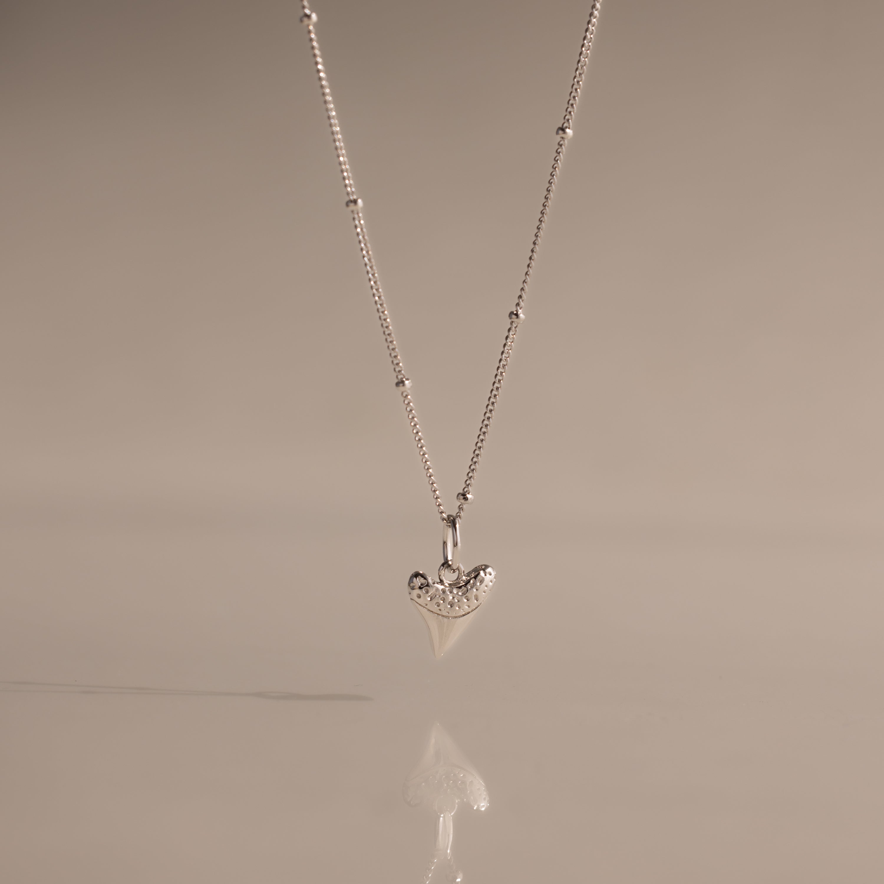 Shark Tooth Necklace