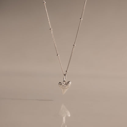 Shark Tooth Necklace
