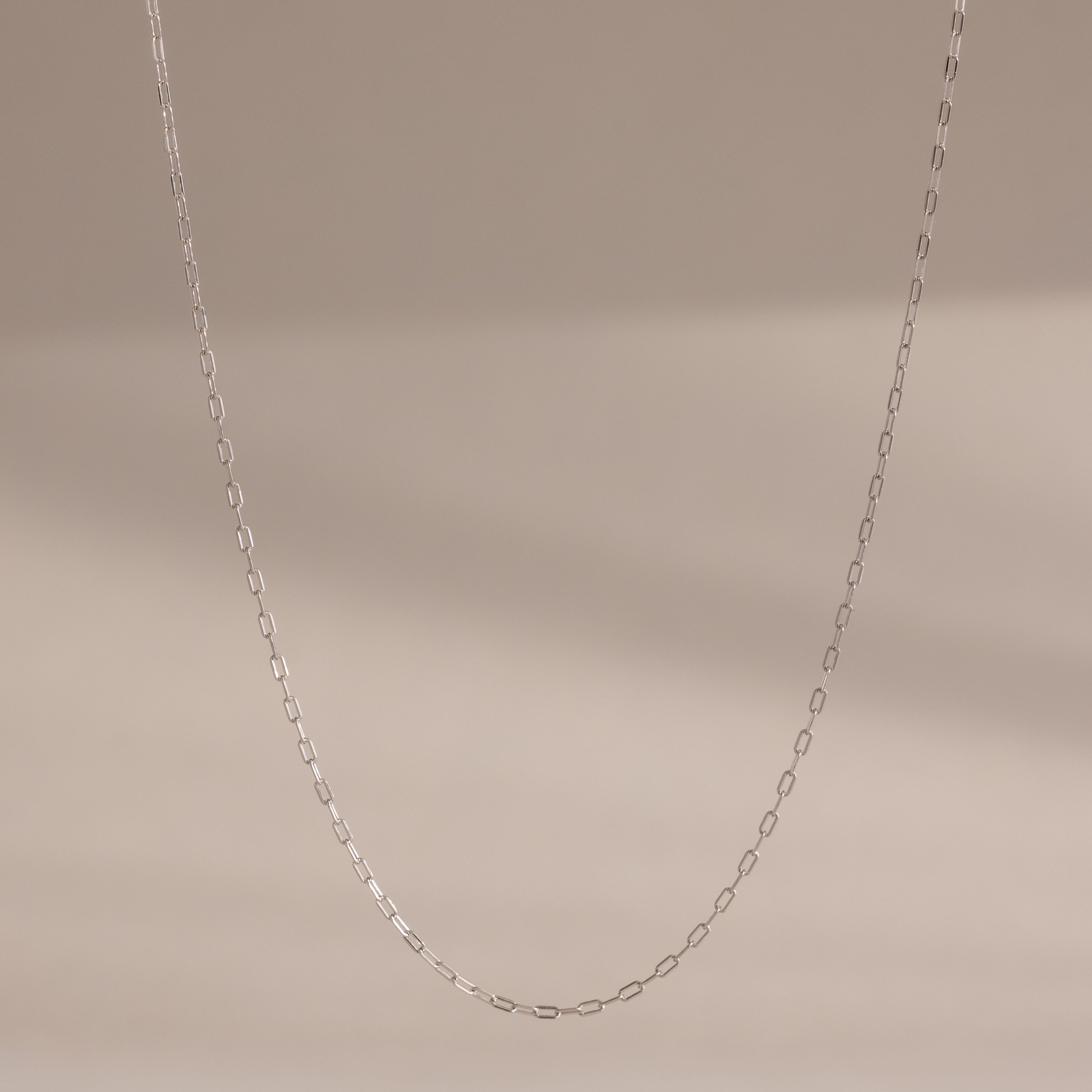 Dainty Paperclip Necklace