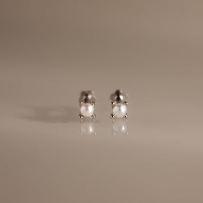Baby Venus Flatback Studs