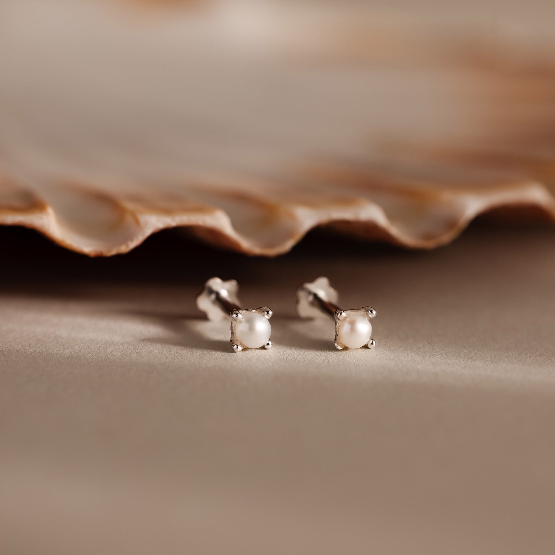 Baby Venus Flatback Studs