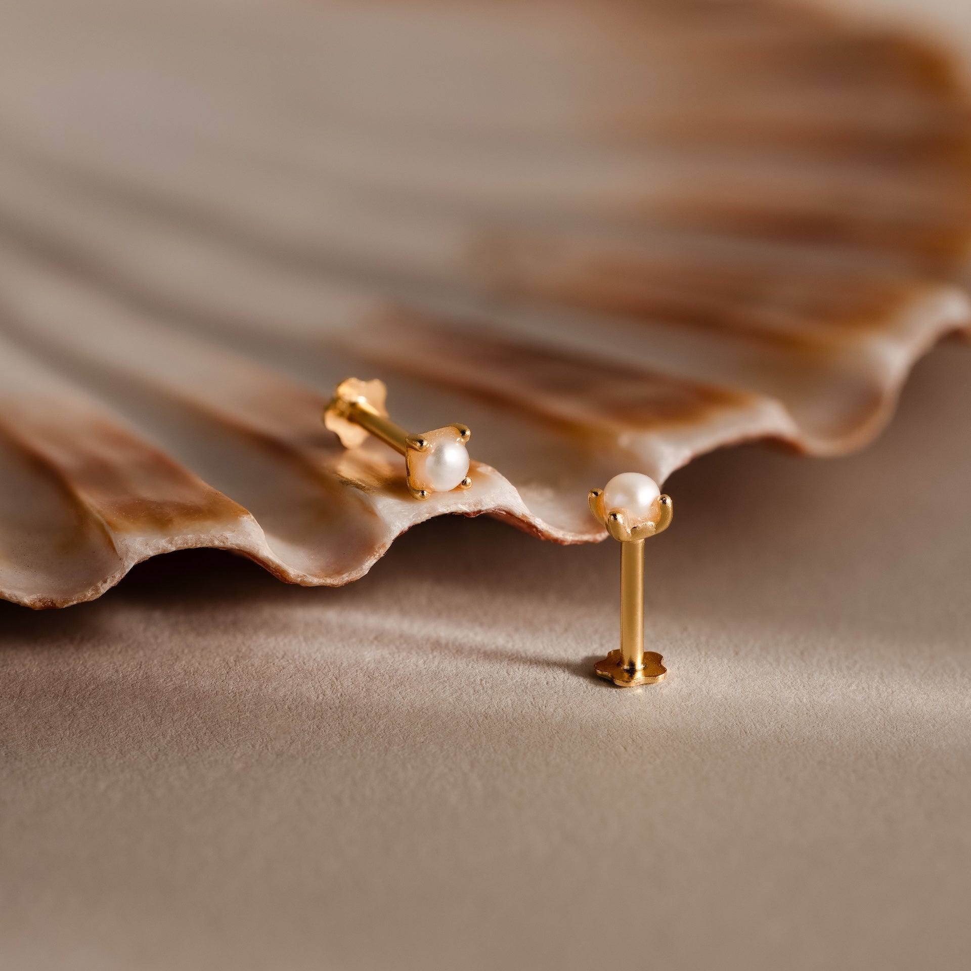Baby Venus Flatback Studs