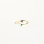 Zodiac Birthstone Ring