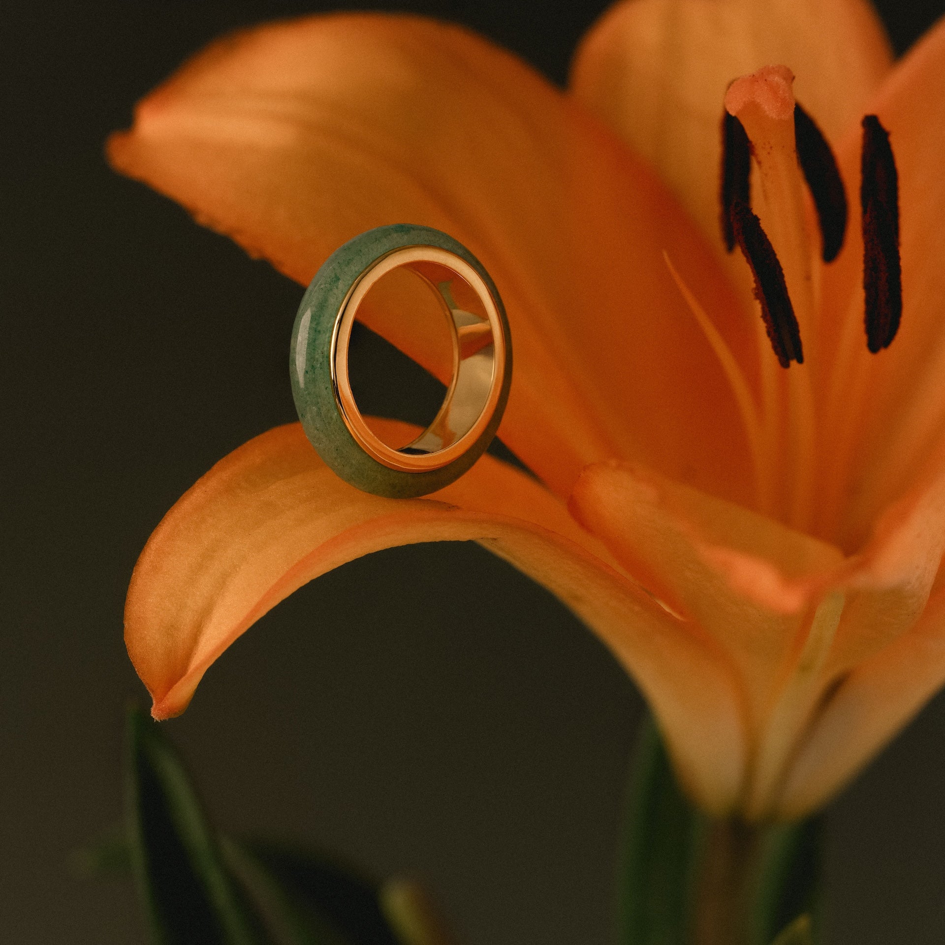 Haven Jade Spinner Ring