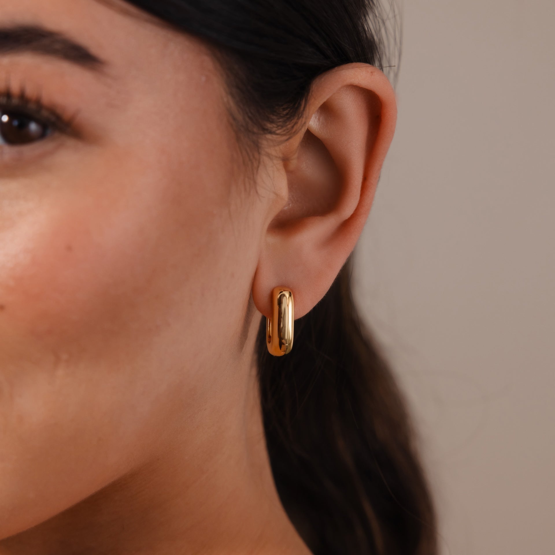Bold Link Hoops