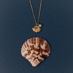 Diamond Seashell Charm Necklace
