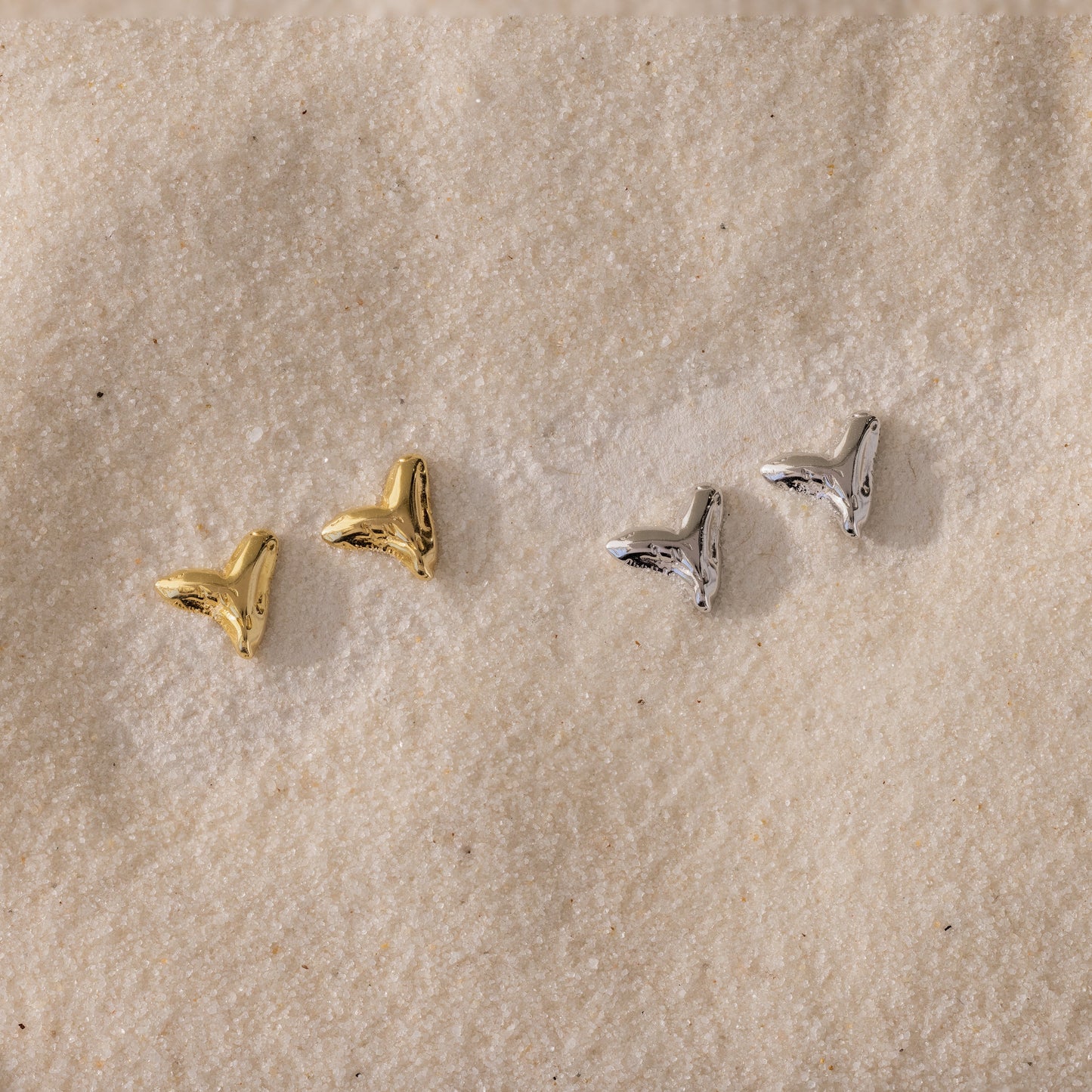 Shark Tooth Flatback Studs
