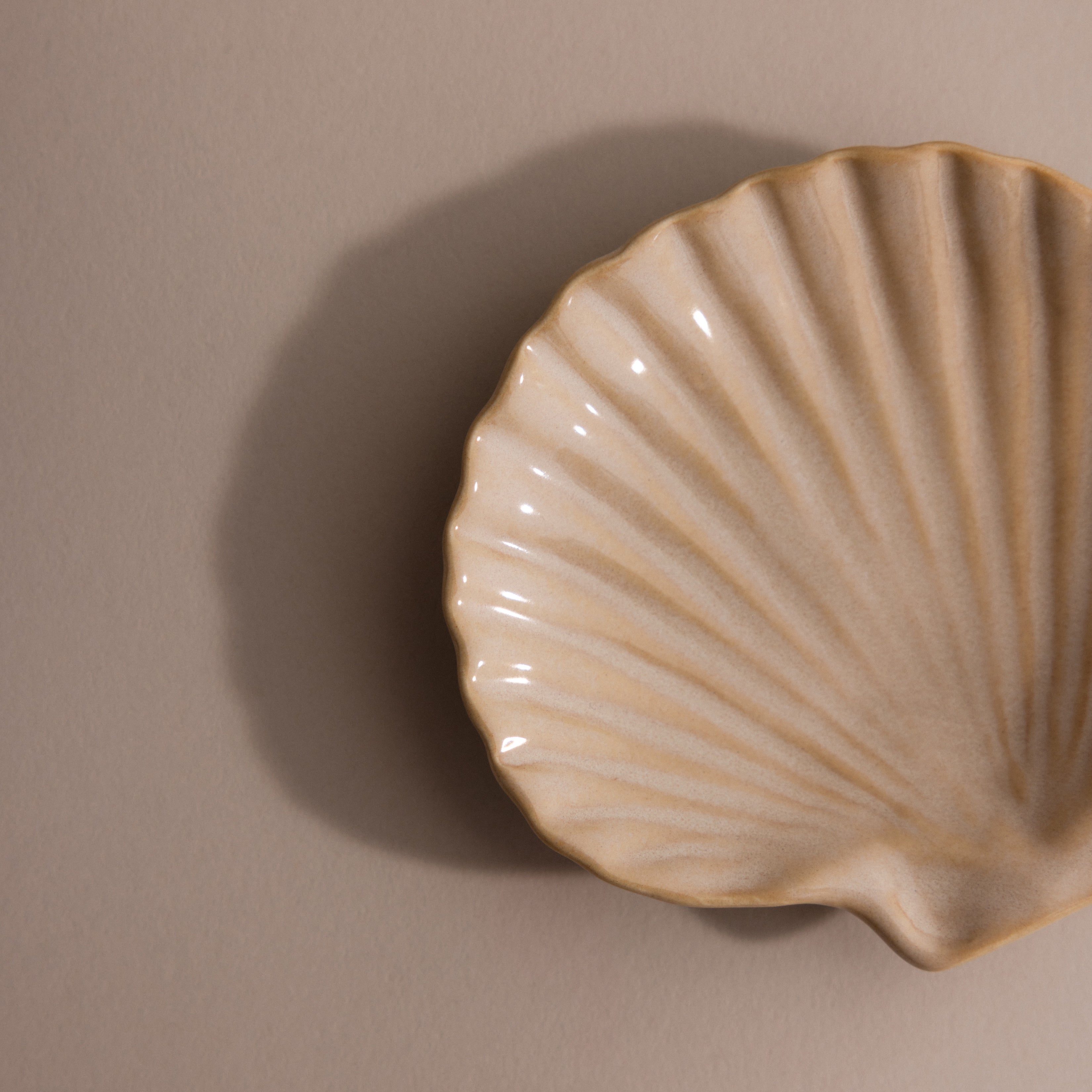 Venus Shell Jewelry Dish