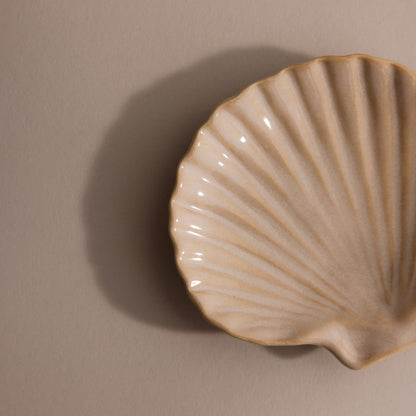 Venus Shell Jewelry Dish